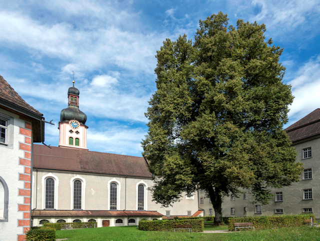 Fischingen 003 Z6 20230921 DSC 9506